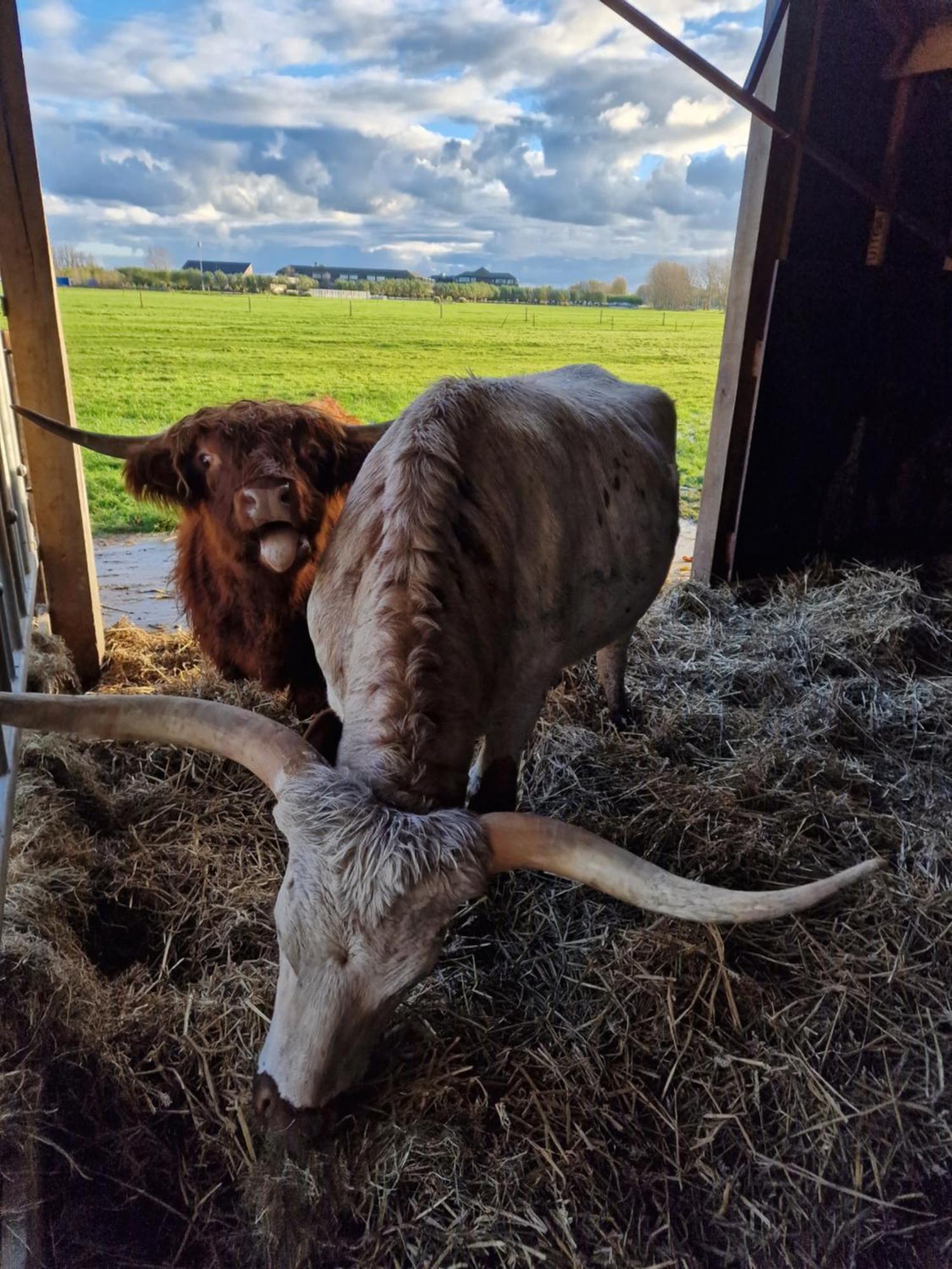 아커슬루트 Bed&Bbq Longhornranch 아파트 외부 사진